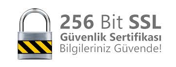 256 Bit SSL